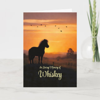 Tarjeta Pérdida de simpatía de caballo miniatura puesta de