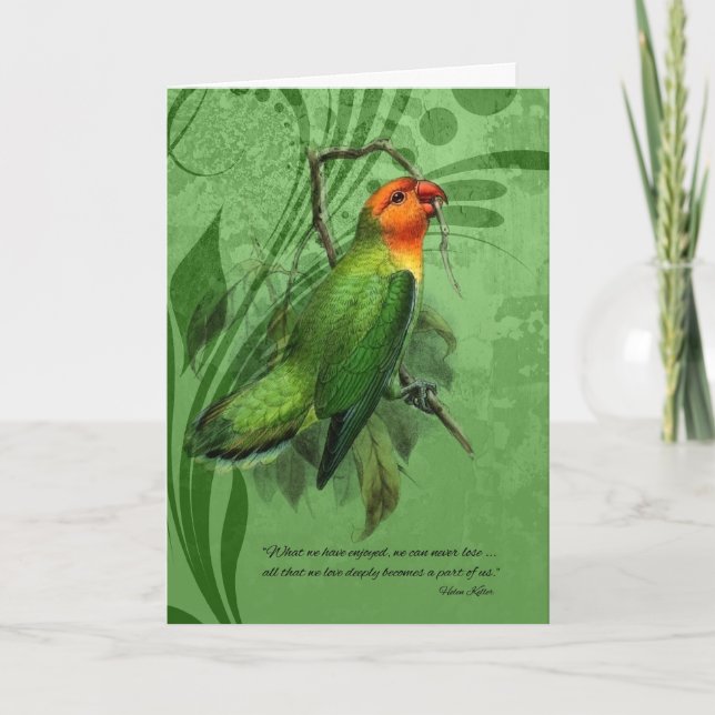 Tarjeta Pérdida de simpatía mascota de un pájaro amoroso (Anverso)