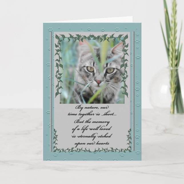 Tarjeta Pérdida de simpatía por mascota del gato Tabby en  (Anverso)
