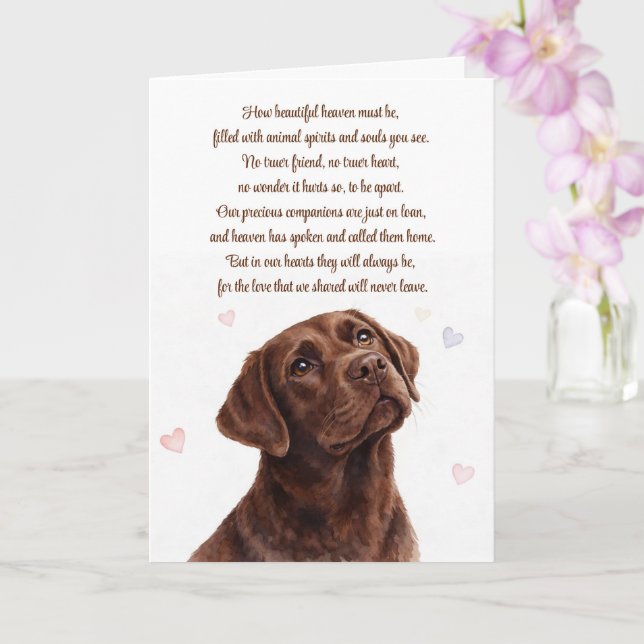 Tarjeta Pérdida de simpatía por perro Lab de chocolate Esp (Orquídea)
