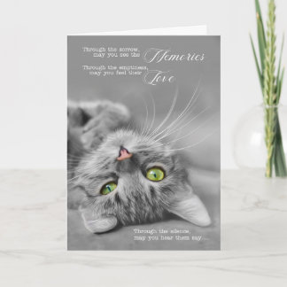Tarjeta Pérdida de un gato Mascota simpatía Pliego de gato