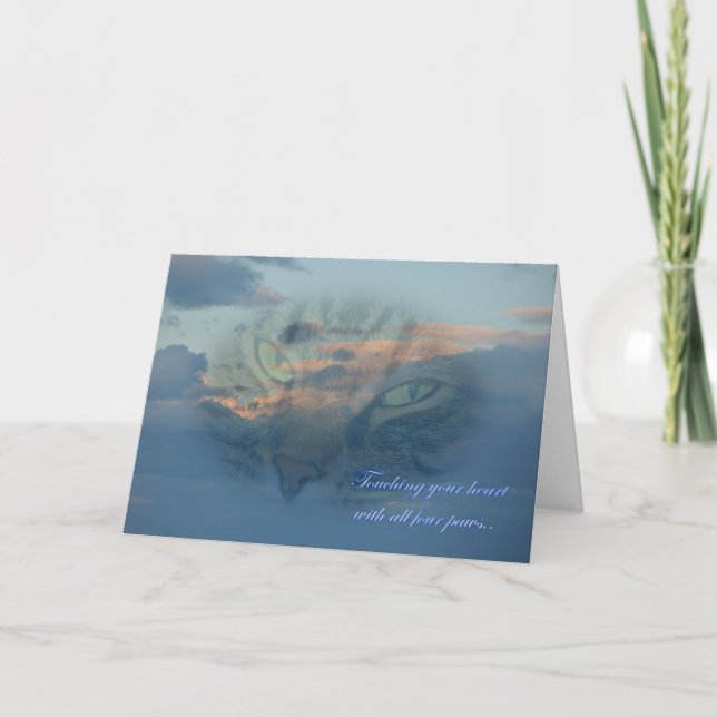 Tarjeta Pérdida de un gato. Pérdida de un mascota. Condole (Anverso)