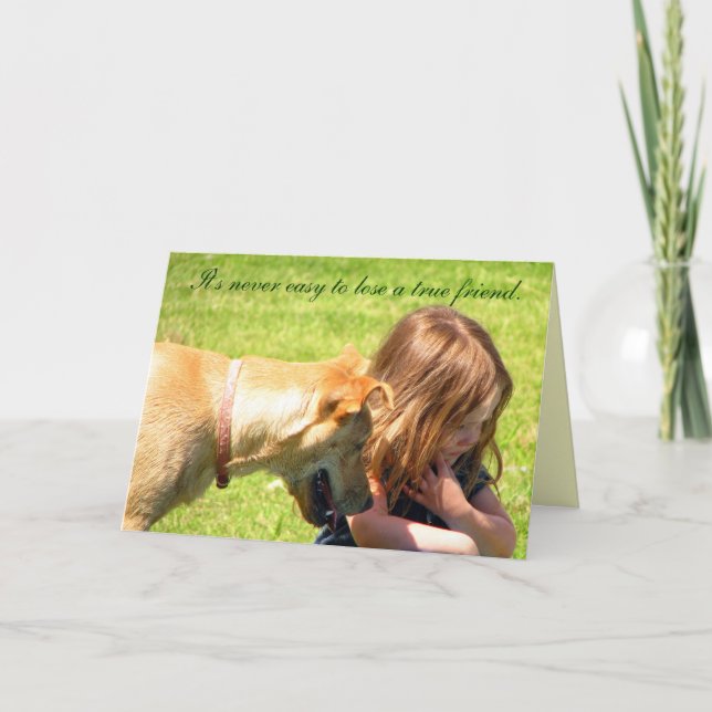 Tarjeta Pérdida de un mascota (Anverso)