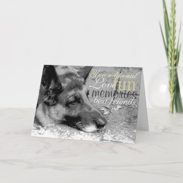 Tarjeta Pérdida de un Mascota (Anverso)