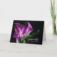 Pérdida de un padre compasión púrpura Calla Lilies