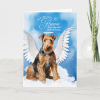 Pérdida de un perro Airedale Terrier Ángel Mascota