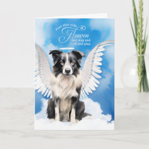 Tarjeta Pérdida de un perro Border Collie Ángel Mascota Co