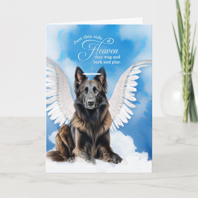 Tarjeta Pérdida de un perro Simpatía de Mascota Tervuren A (Anverso)