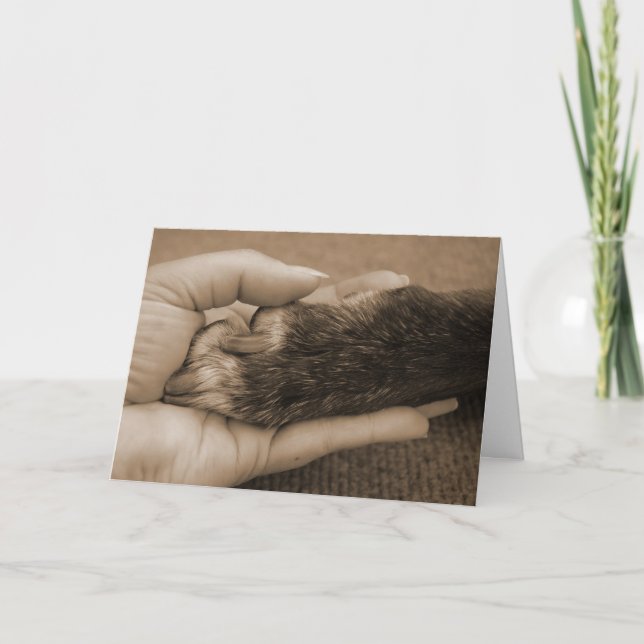 Tarjeta Pérdida del mascota (Anverso)