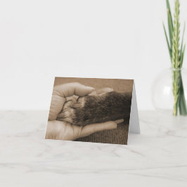 Tarjeta Pérdida del mascota - tacto de un ángel