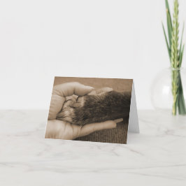 Tarjeta Pérdida del mascota - tacto de un ángel