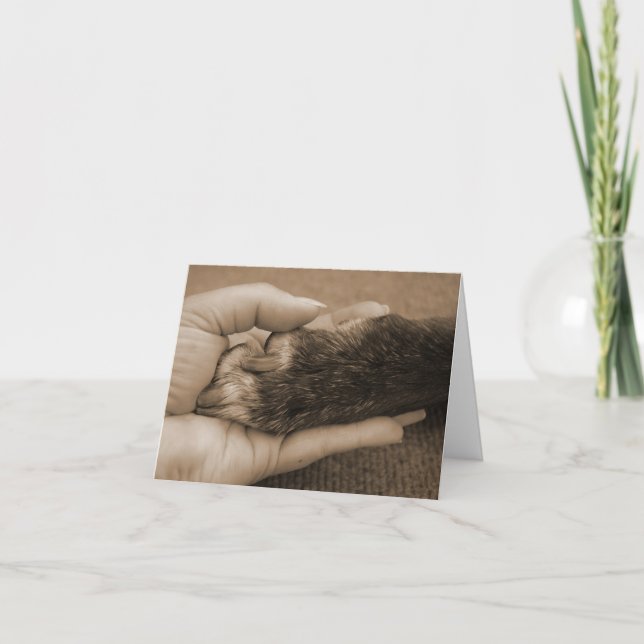 Tarjeta Pérdida del mascota - tacto de un ángel (Anverso)