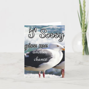 Tarjeta Perdón, Perdóname.
