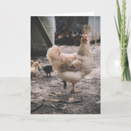 Tarjeta Perdón por ser tan tonto