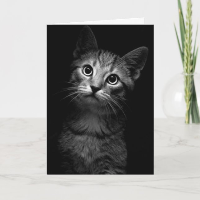 TARJETA PERDONA, AMO A USTED-MEOW (Anverso)