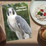 Tarjeta Peregrine Falcon Photo Funny Birday Card<br><div class="desc">Tarjeta de cumpleaños humorística para todos,  con la imagen de la foto de un Halcón Peregrino buscando comida. ¡Mejor mira esa torta! Seleccione una tarjeta de estilo mate o brillante.</div>