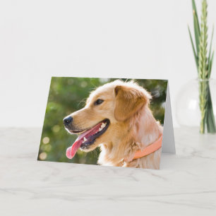 Tarjeta Perfil de Golden Retriever con lengua de salida