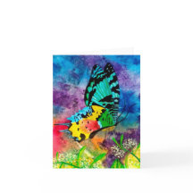 Perfil de Madagascar Splash