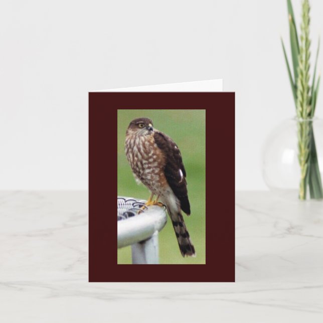 Tarjeta Perfil perfecto (Anverso)