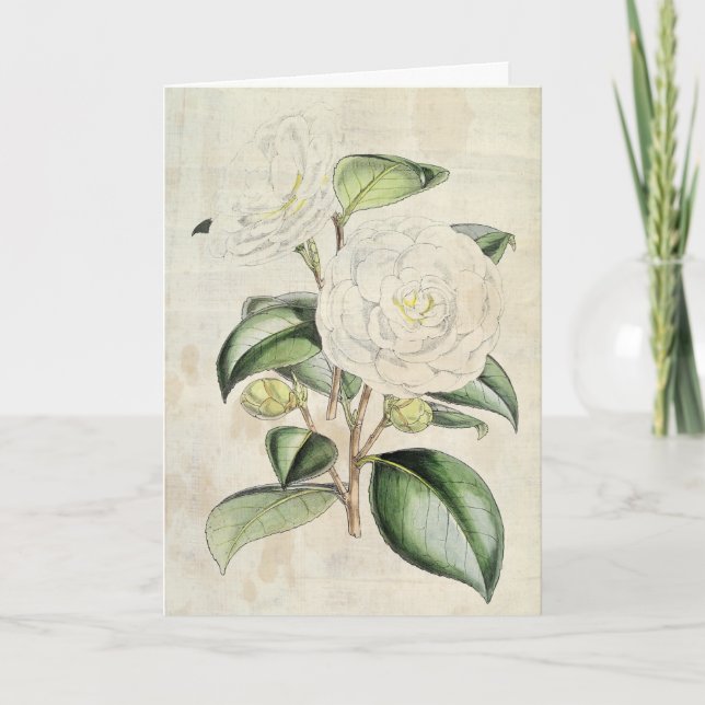 Tarjeta Perla Botánica Vintage Camellia (Anverso)