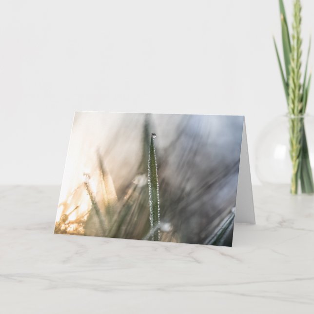 Tarjeta Perlas de perro en hierba (Anverso)