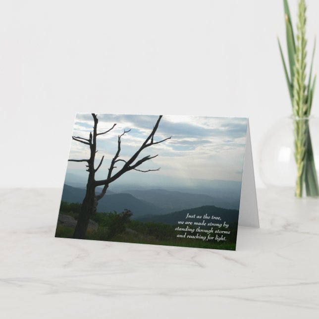 Tarjeta permanente/de acceso (Anverso)