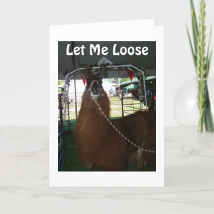 TARJETA PERMÍTANME DECIR FELIZ CUMPLEAÑOS