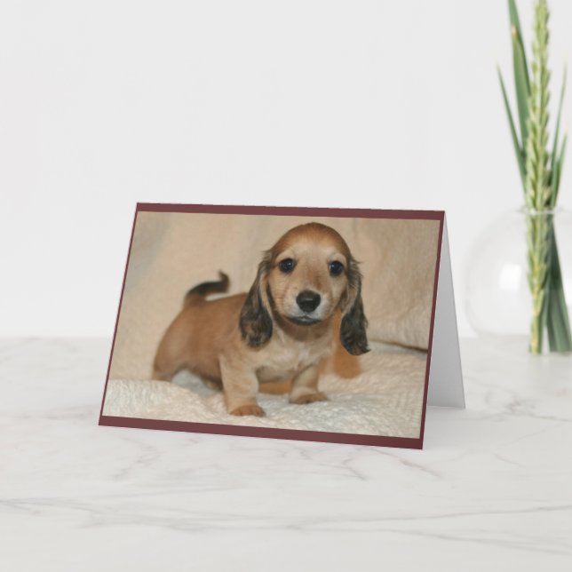 Tarjeta Perrito (Anverso)