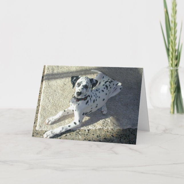 Tarjeta Perrito de Dalmation (Anverso)