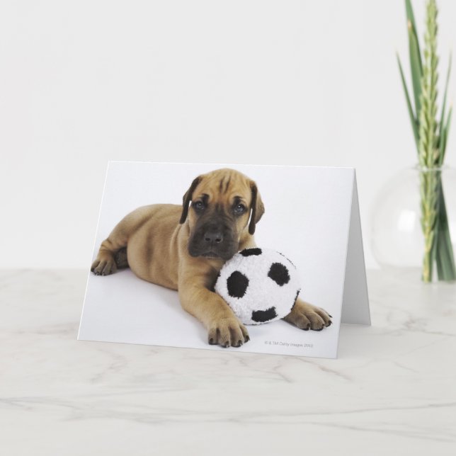Tarjeta Perrito de great dane con el balón de fútbol (Anverso)