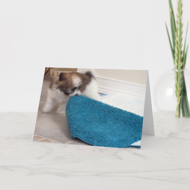 Tarjeta Perrito de Havanese que mueve su manta (Anverso)