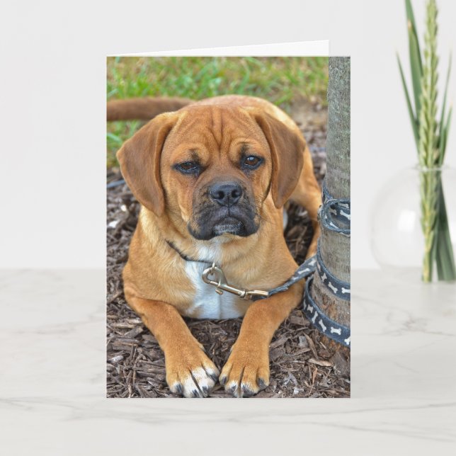 Tarjeta Perrito de Puggle (Anverso)