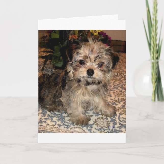 Tarjeta Perrito de Shorkie (Anverso)