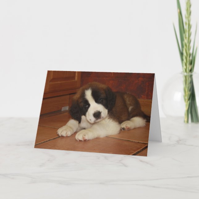 Tarjeta Perrito de St Bernard (Anverso)