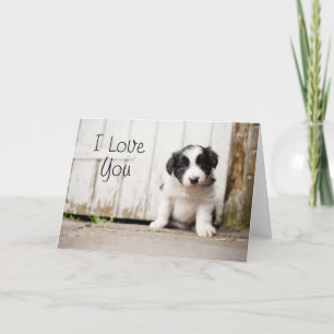 Tarjeta Perrito del border collie