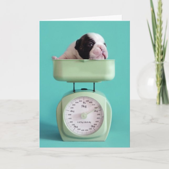 Tarjeta Perrito del bulldog francés (Anverso)