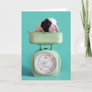 Tarjeta Perrito del bulldog francés