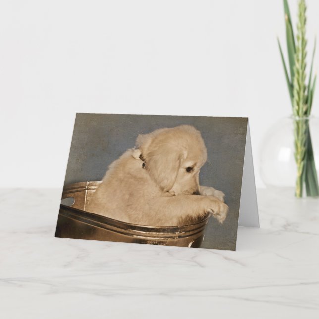 Tarjeta Perrito del golden retriever (Anverso)