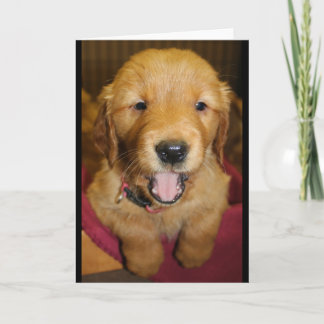Tarjeta Perrito del golden retriever cualquier ocasión