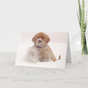 Tarjeta Perrito del golden retriever en nieve