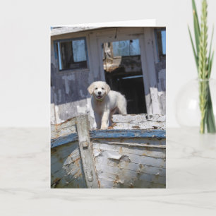 Tarjeta Perrito del golden retriever en un remolcador