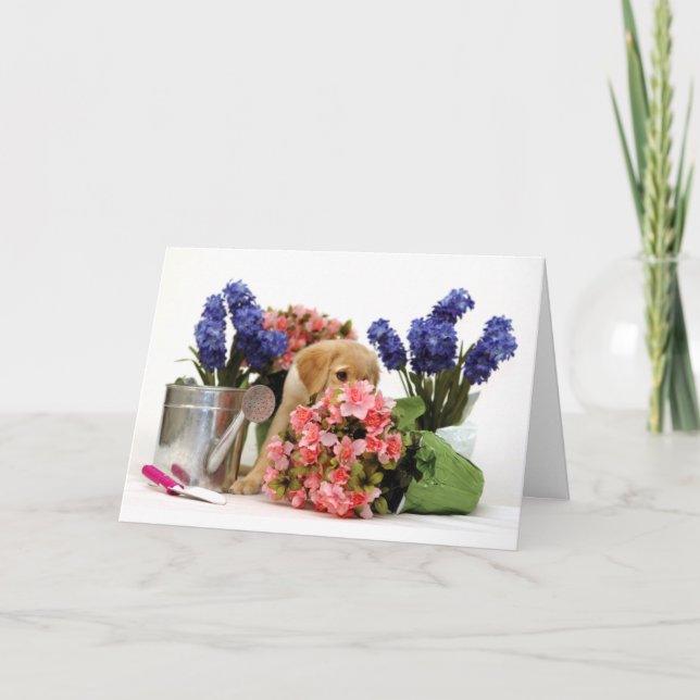 Tarjeta Perrito del golden retriever que huele las flores (Anverso)