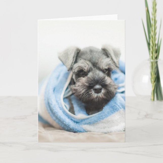 Tarjeta Perrito después del baño (Anverso)