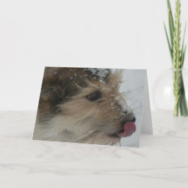 Tarjeta Perrito en la nieve