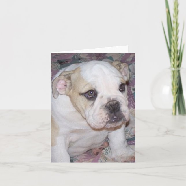 Tarjeta Perrito inglés Notecard del bulldog (Anverso)