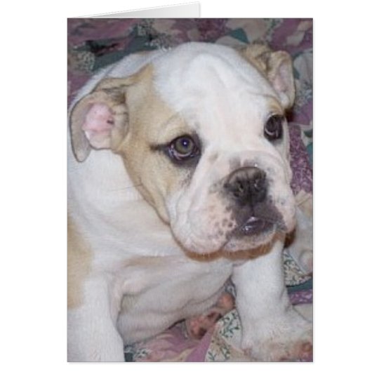 Tarjeta Perrito inglés Notecard del dogo