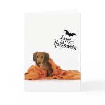 Perrito lindo del Dachshund en Halloween combinado
