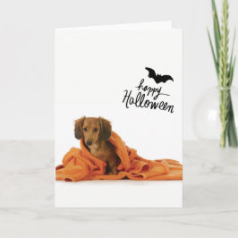 Tarjeta Perrito lindo del Dachshund en Halloween combinado