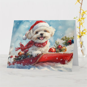 Tarjeta Perrito Malti Tzu en Trineo Deja que Nieve Navidad