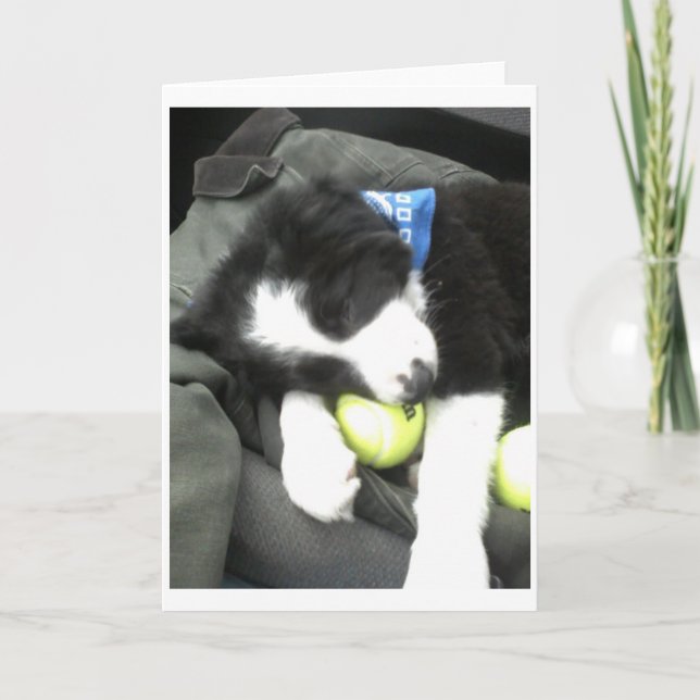 Tarjeta Perrito máximo (Anverso)